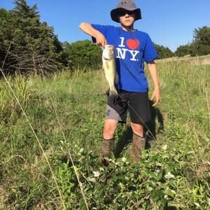 Meet your Posher, Jake